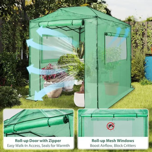 Alt view image 2 of 7 - 8x6 Portable Walk in Greenhouse, Pop Up Indoor Outdoor Greenhouse, Green House Kit with Zippered Roll-Up Doors and Windows, PE Cover, Clear/Green
