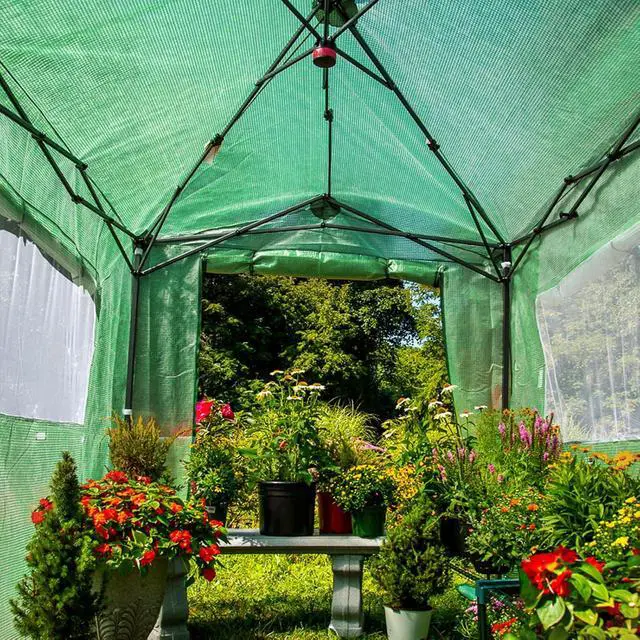 Alt view image 7 of 7 - 8x6 Portable Walk in Greenhouse, Pop Up Indoor Outdoor Greenhouse, Green House Kit with Zippered Roll-Up Doors and Windows, PE Cover, Clear/Green