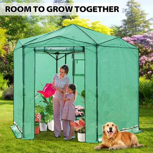 Alt view image 5 of 7 - 8.5x8.5 Portable Walk in Greenhouse, Pop Up Indoor Outdoor Greenhouse, Green House Kit with Zippered Roll-Up Doors and Windows, Hexagon Design, PE Cover, Clear/Green