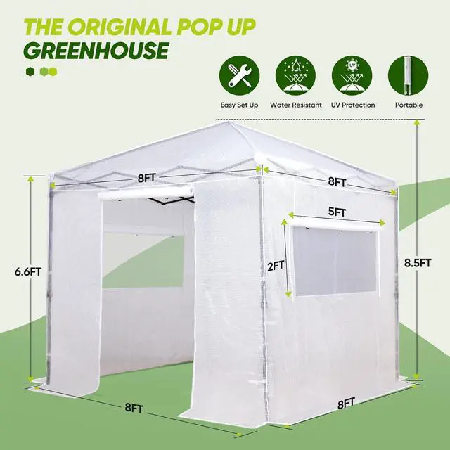 Alt view image 5 of 7 - 8x8 Portable Walk in Greenhouse, Pop Up Indoor Outdoor Greenhouse, Green House Kit with Zippered Roll-Up Doors and Windows, PE Cover, Clear/White