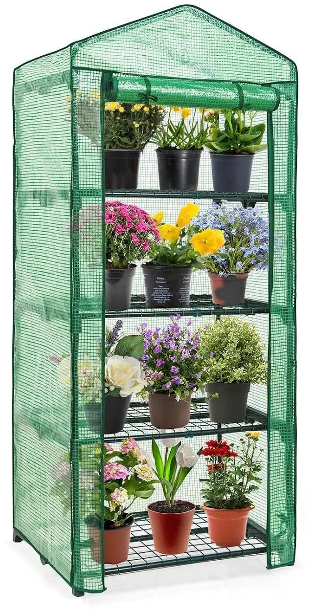Main image of 4-Tier Mini Greenhouse Portable Green House with Shelves & Weather-Resistant PE Cover, Small Greenhouse for Seedlings & Gardening Gifts, 27x19x64 in, Clear/Green