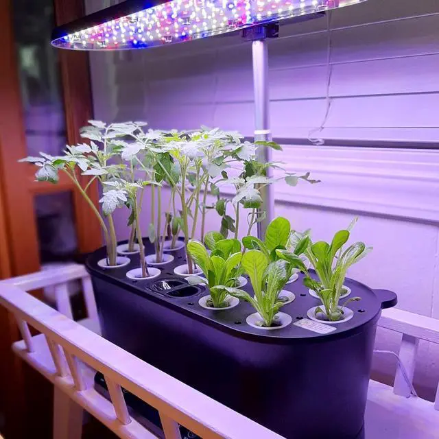 Alt view image 3 of 7 - 15 Pods Hydroponics Growing System with WiFi, 5.5 L Water Tank, Smart Indoor Plants Germination Kit with LED Grow Light, Pump System, Adjustable Height for Home Kitchen Gardening, Black