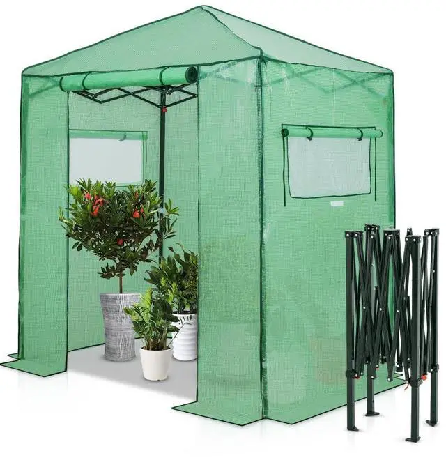Main image of 6x4 Portable Walk in Greenhouse, Pop Up Indoor Outdoor Greenhouse, Green House Kit with Zippered Roll-Up Doors and Windows, PE Cover, Clear/Green