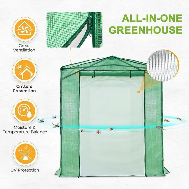 Alt view image 6 of 7 - 8x6 Portable Walk in Greenhouse, Pop Up Indoor Outdoor Greenhouse, Green House Kit with Zippered Roll-Up Doors and Windows + Mesh Lined Door, PE Cover, Clear/Green