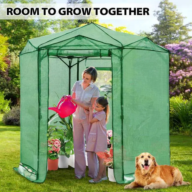 Alt view image 5 of 7 - 6.6x6.6 Portable Walk in Greenhouse, Pop Up Indoor Outdoor Greenhouse, Green House Kit with Zippered Roll-Up Doors and Windows, Hexagon Design, PE Cover, Clear/Green