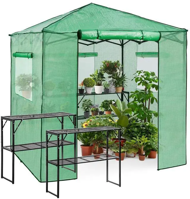 Main image of 7x7 Portable Walk in Greenhouse, Pop Up Indoor Outdoor Greenhouse, Green House Kit with Zippered Roll-Up Doors and Windows + Mesh Lining & 2 Foldable Shelves, PE Cover, Clear/Green