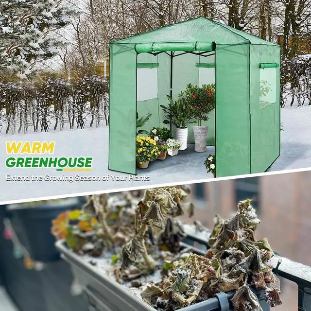 Alt view image 4 of 7 - 7x7 Portable Walk in Greenhouse, Pop Up Indoor Outdoor Greenhouse, Green House Kit with Zippered Roll-Up Doors and Windows + Mesh Lining & 2 Foldable Shelves, PE Cover, Clear/Green