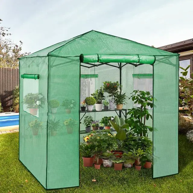 Alt view image 5 of 7 - 7x7 Portable Walk in Greenhouse, Pop Up Indoor Outdoor Greenhouse, Green House Kit with Zippered Roll-Up Doors and Windows + Mesh Lining & 2 Foldable Shelves, PE Cover, Clear/Green