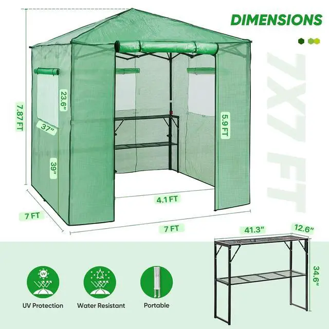 Alt view image 3 of 7 - 7x7 Portable Walk in Greenhouse, Pop Up Indoor Outdoor Greenhouse, Green House Kit with Zippered Roll-Up Doors and Windows + Mesh Lining & 2 Foldable Shelves, PE Cover, Clear/Green