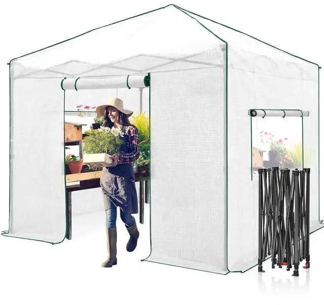 Main image of 10x10 Portable Walk in Greenhouse, Pop Up Indoor Outdoor Greenhouse, Green House Kit with Zippered Roll-Up Doors and Windows, PE Cover, Clear/White