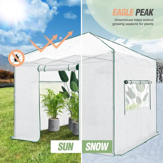 Alt view image 7 of 7 - 10x10 Portable Walk in Greenhouse, Pop Up Indoor Outdoor Greenhouse, Green House Kit with Zippered Roll-Up Doors and Windows, PE Cover, Clear/White