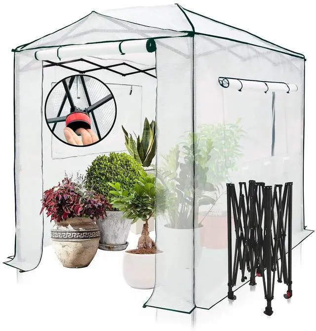 Main image of 8x6 Portable Walk in Greenhouse, Pop Up Indoor Outdoor Greenhouse, Green House Kit with Zippered Roll-Up Doors and Windows, PE Cover, Clear/White