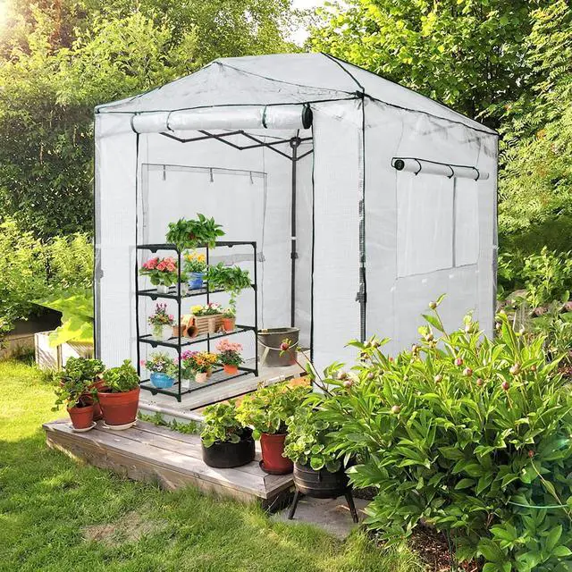 Alt view image 5 of 7 - 8x6 Portable Walk in Greenhouse, Pop Up Indoor Outdoor Greenhouse, Green House Kit with Zippered Roll-Up Doors and Windows, PE Cover, Clear/White