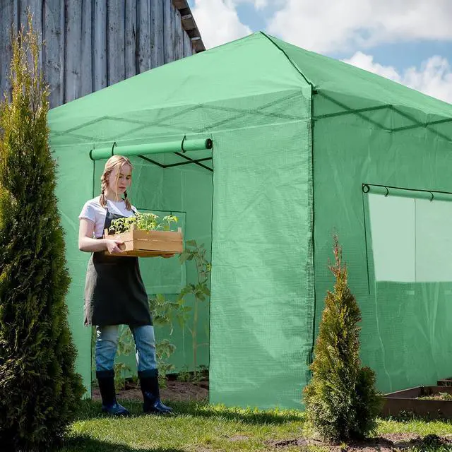 Alt view image 5 of 7 - 10x10 Portable Walk in Greenhouse, Pop Up Indoor Outdoor Greenhouse, Green House Kit with Zippered Roll-Up Doors and Windows, PE Cover, Clear/Green