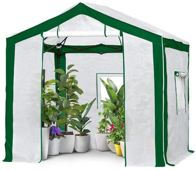 Main image of 8x8 Portable Walk in Greenhouse with Polyester Reinforced Corners, Heavy Duty Instant Pop Up Indoor Outdoor Green House, Front Roll Up Zipper Entry Door and Mesh Windows, Green/White