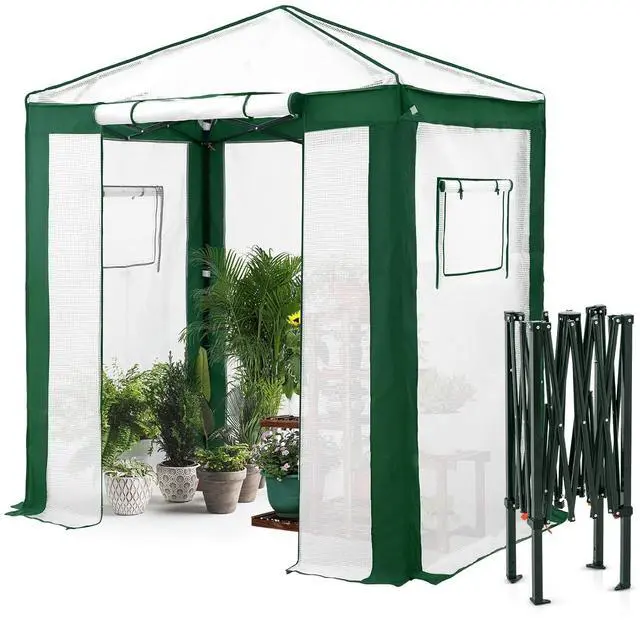 Main image of 6x4 Portable Walk in Greenhouse with Polyester Reinforced Corners, Instant Pop up Indoor Outdoor Gardening Green House, Roll Up Zipper Entry Door and Mesh Windows, Green/White