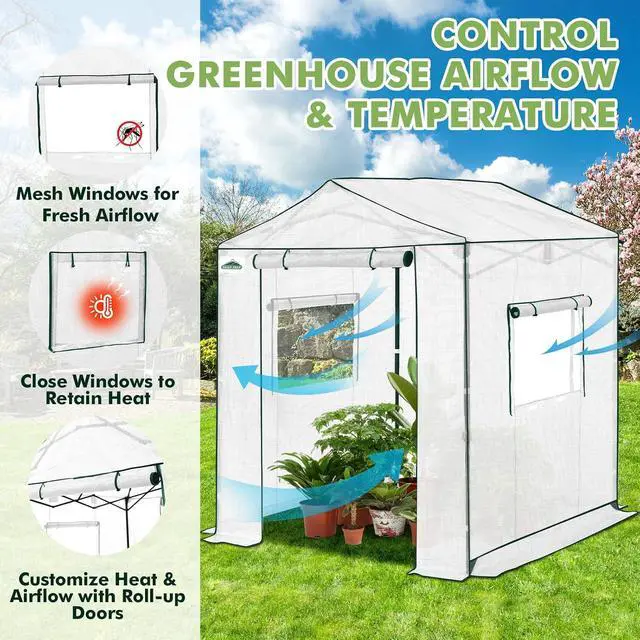 Alt view image 6 of 7 - 6x6 Portable Pop Up Greenhouse, Patented Center Lock Easy One Person Setup, Walk-in Outdoor Greenhouse with Gable Roof, Weight Bags, Zippered Doors & Windows, White