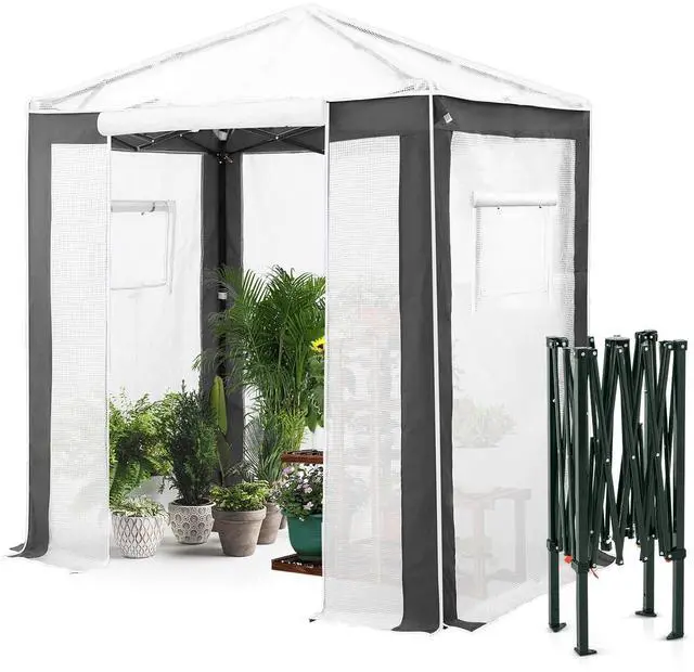 Main image of 6x4 Portable Walk in Greenhouse with Polyester Reinforced Corners, Instant Pop up Indoor Outdoor Gardening Green House, Roll Up Zipper Entry Door and Mesh Windows, Gray/White