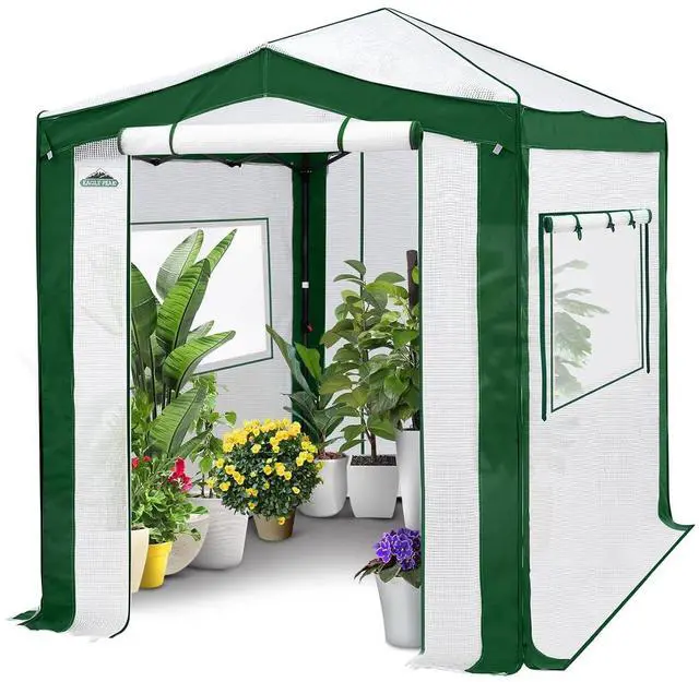 Main image of 8x6 Portable Walk in Greenhouse with Polyester Reinforced Corners, Instant Pop Up Indoor Outdoor Gardening Green House, Roll Up Zipper Entry Doors and Mesh Windows, Green/White