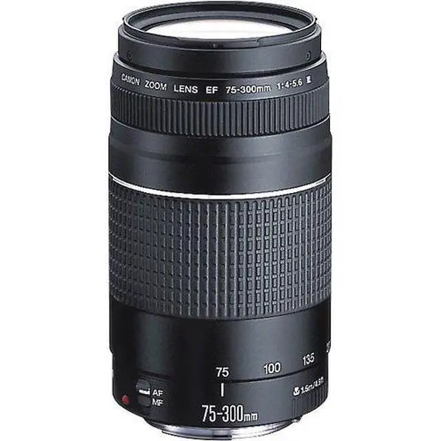 Alt view image 7 of 7 - Canon EOS Rebel T7 DSLR Camera with EF 18-55mm and 75-300mm Double Zoom Kit Bundle with 500mm Preset Telephoto Lens, Camera Bag, 64GB Memory Card, Photography Pro Guidebook and Accessories (13 Items)