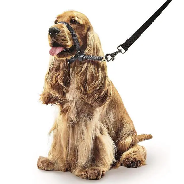 Alt view image 2 of 2 - Beaphar - Gentle Leader - Head Collar for Medium Dogs - Stops Pulling On The Lead - Training Aid with Immediate Effect- Endorsed by Behaviourists - Black x 1