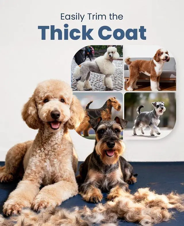 Alt view image 7 of 7 - Dog Clippers for Grooming Thick Heavy Coats | Low Noise,Rechargeable Cordless,Detachable Stainless Steel Blade,IPX7 Waterproof,10 Guide Combs,for Thick/Double/Curly Hair