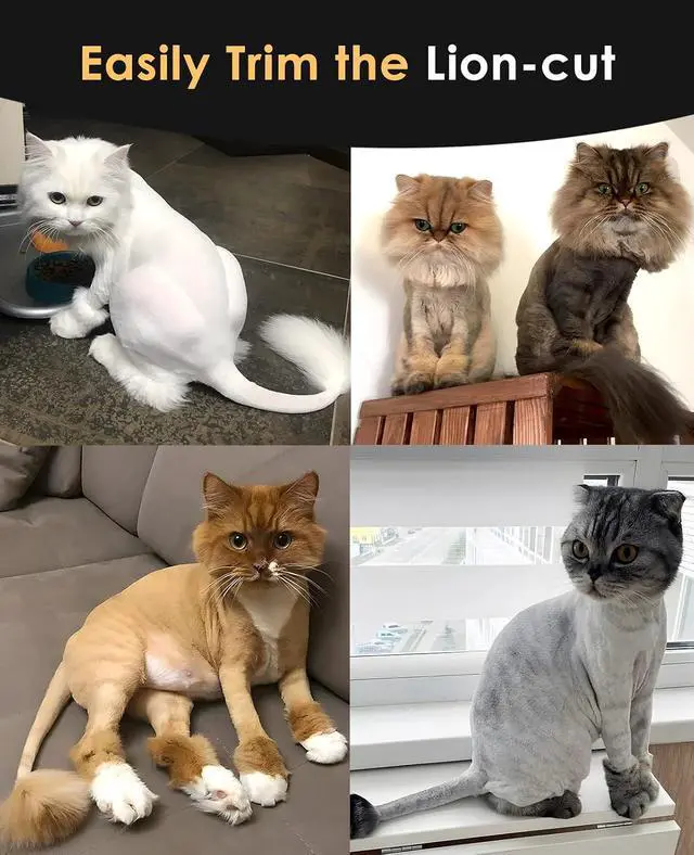 Alt view image 5 of 7 - Quiet Cat Clippers for Matted & Long Hair 2-Speed Cat Grooming Kit | Cordless Pet Clippers for Cats, Small Dogs & Animals, 6 Guide Guards, 240mins Long Battery Life, With Scissors and Comb