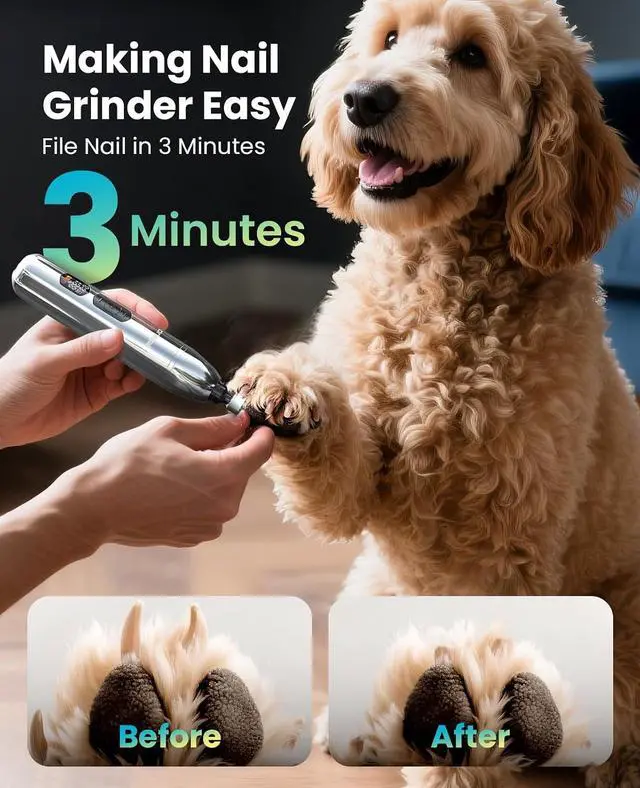 Alt view image 6 of 7 - Dog Clippers for Grooming Thick/Matted Hair, 4-in-1 Grooming Kit | Detachable Stainless Steel Blade, Powerful Motor, IPX6 Waterproof, Low Noise, Paw Trimmer and Nail Grinder, 9 Guide Combs
