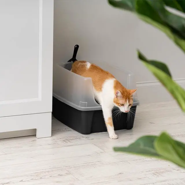 Alt view image 5 of 7 - IRIS USA Large High Sided Cat Litter Box, Scatter Shield | High Kickers, Kick-Proof Sides, Extra Deep Pan, Raised Edge Protection, Keeps Floor Clean, Easy Daily Scoop