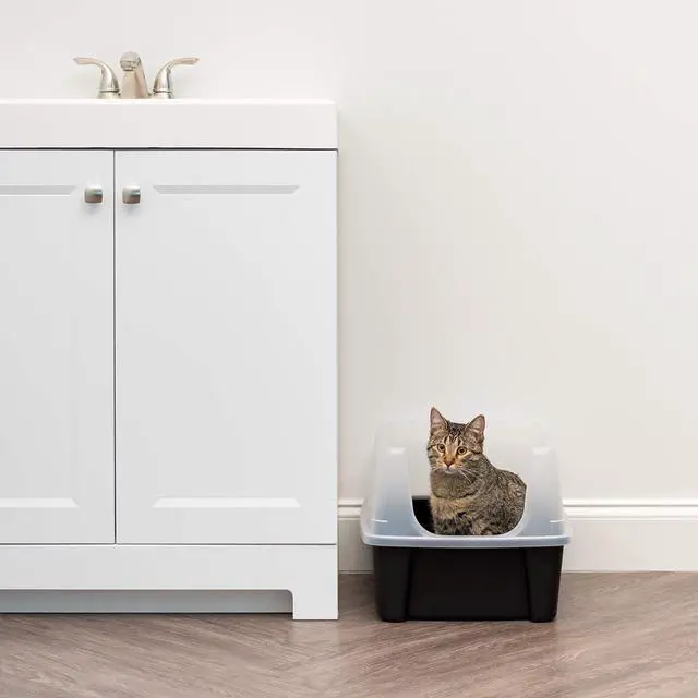 Alt view image 6 of 7 - IRIS USA Large High Sided Cat Litter Box, Scatter Shield | High Kickers, Kick-Proof Sides, Extra Deep Pan, Raised Edge Protection, Keeps Floor Clean, Easy Daily Scoop