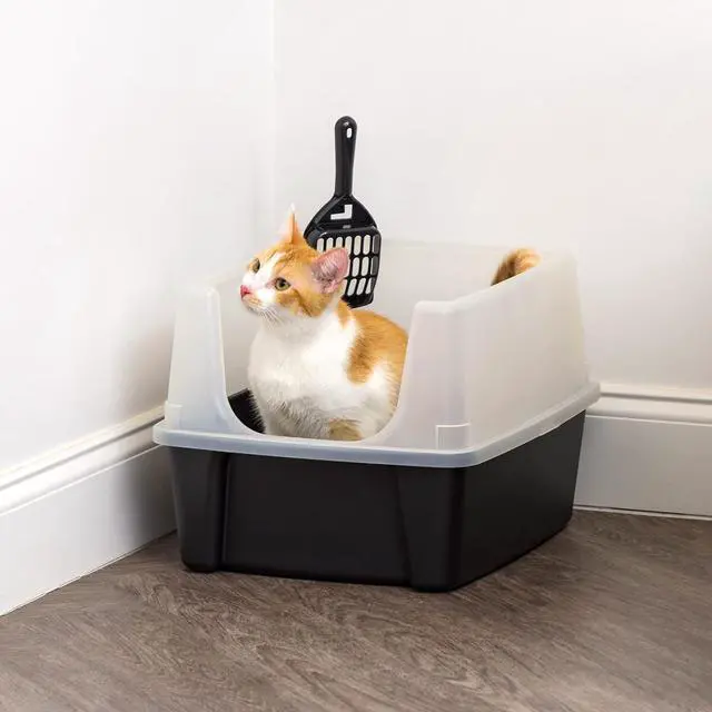 Alt view image 7 of 7 - IRIS USA Large High Sided Cat Litter Box, Scatter Shield | High Kickers, Kick-Proof Sides, Extra Deep Pan, Raised Edge Protection, Keeps Floor Clean, Easy Daily Scoop