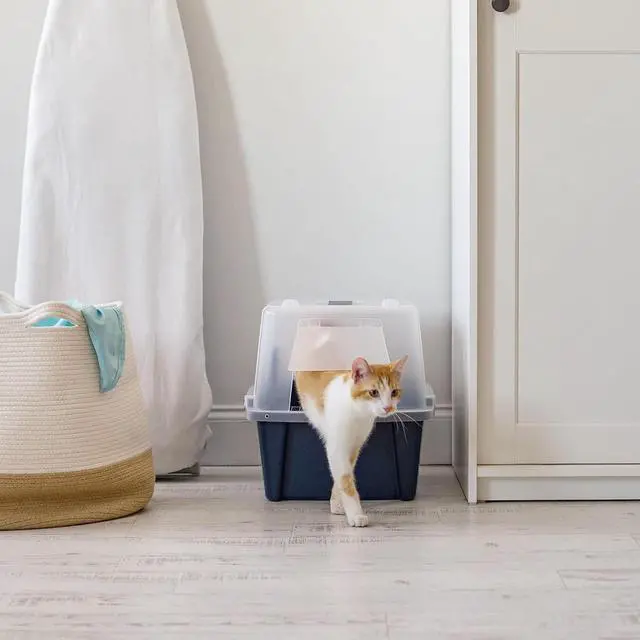 Alt view image 4 of 7 - IRIS USA Large Front Door Cat Litter Box, Walk-in Entry, Navy | Senior Cats, Private Enclosure Design, Flip Door Access, Covered Walk-Through, Privacy Hood, Contained Environment