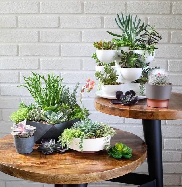 Alt view image 2 of 6 - The HC Companies 8 Inch Round Plastic Succulent Capri Bowl 8"x8"x3" in Faux Concrete Color