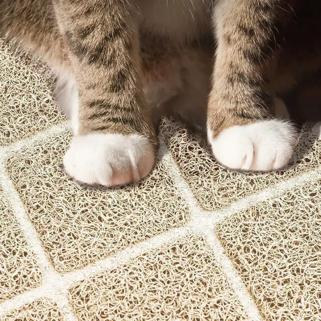 Alt view image 4 of 7 - Premium Cat Litter Mat, Litter Box Mat with Non-Slip and Waterproof Backing, Litter Trapping Mat Soft on Kitty Paws and Easy to Clean, Cat Mat Traps Litter from Box