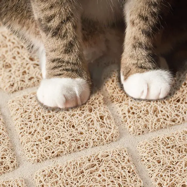 Alt view image 4 of 7 - Premium Cat Litter Mat, Litter Box Mat with Non-Slip and Waterproof Backing, Litter Trapping Mat Soft on Kitty Paws and Easy to Clean, Cat Mat Traps Litter from Box