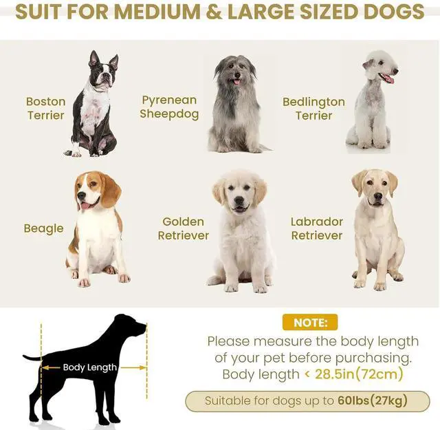 Alt view image 4 of 7 - 38" Dog Sofa Bed, Elevated Dog Bed with Backrest and Armrests, Soft Memory Foam Couches for Small and Medium-Sized Pets, Durable Linen Pet Couch Furniture, Beige
