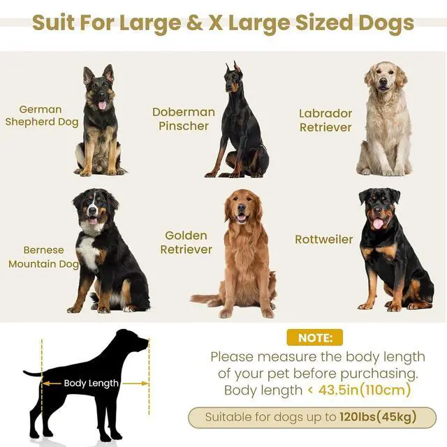 Alt view image 3 of 7 - 51" XL Dog Bed Couch, Elevated Large Dog Sofa with Backrest and Armrests, Soft Memory Foam Extra Large Pet Bed with Removable Cushion, Durable Linen Pet Couch Furniture, Beige