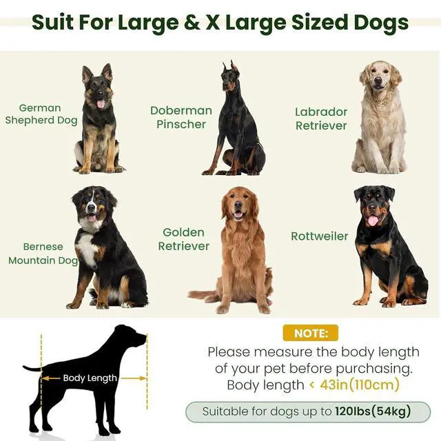 Alt view image 3 of 7 - Elevated XL Large Dog Sofa with Backrest and Armrests, 55" Button Tufted Dog Couch Bed with Soft Cushion for Large Dogs, Stylish Lounging Bed Pet Couch Chair, 120Lbs Weight Capacity, Olive Green