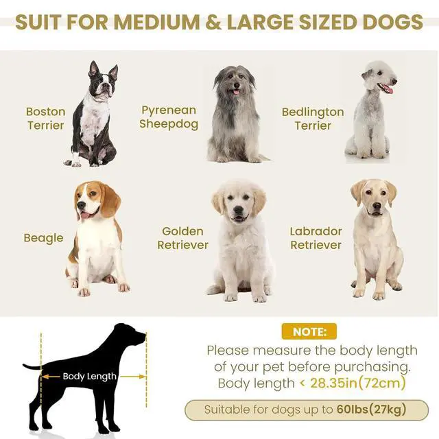 Alt view image 4 of 7 - Elevated Dog Sofa with Backrest and Armrests, Button Tufted Dog Couch Bed with Soft Cushion for Medium Dogs, Stylish Lounging Bed Pet Couch Chair, 60Lbs Weight Capacity, Beige