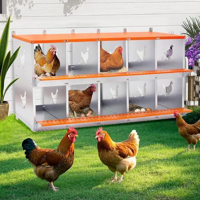 Alt view image 7 of 7 - Chicken Nesting Boxes, 10 Compartments Wall Mount Chicken Laying Boxes for Hens/Ducks, Metal Nest Box, Easy Egg Collection & Assembly, Large Vented Galvanized Steel Chicken Coop Equipment, Orange