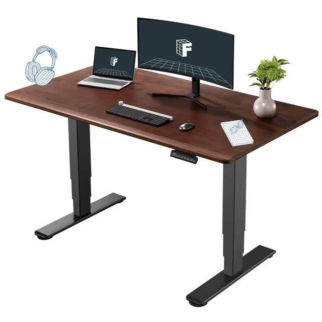 Main image of E6 Solid Wood Dual Motor 3-Stage Electric Standing Desk, 55 x 28