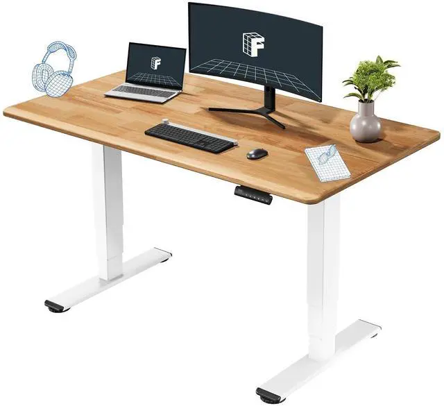 Main image of E6 Solid Wood Dual Motor 3-Stage Electric Standing Desk, 55 x 28