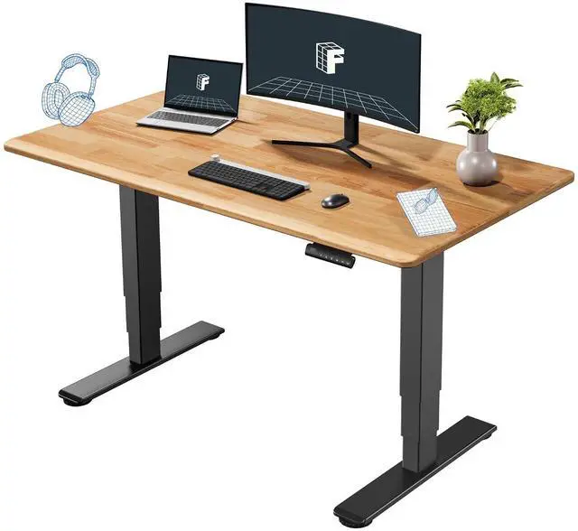 Main image of E6 Solid Wood Dual Motor 3-Stage Electric Standing Desk, 55 x 28