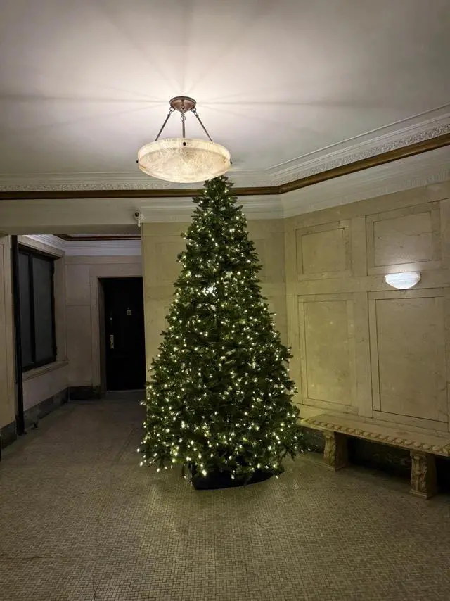 Main image of National Tree Company 12 Ft Pre-Lit Dunhill Fir Artificial Christmas Tree Green