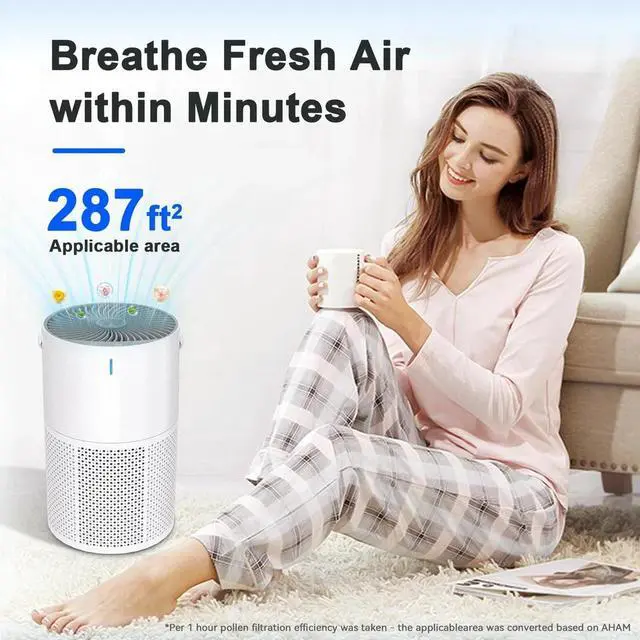 Alt view image 4 of 7 - Air Purifier for Home Large Room up to 1095 Ft², H13 True HEPA Filter Air Pur...