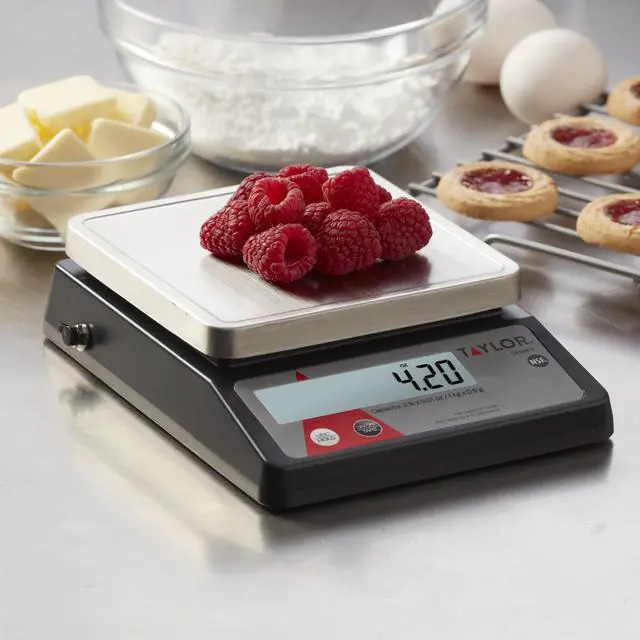 Alt view image 2 of 5 - Compact Digital Portion Control Scale, Food Scale for Precise Weight Measuring and Portion Control, Tare and Hold Function, NSF, 32OZ, Stainless Steel Platform