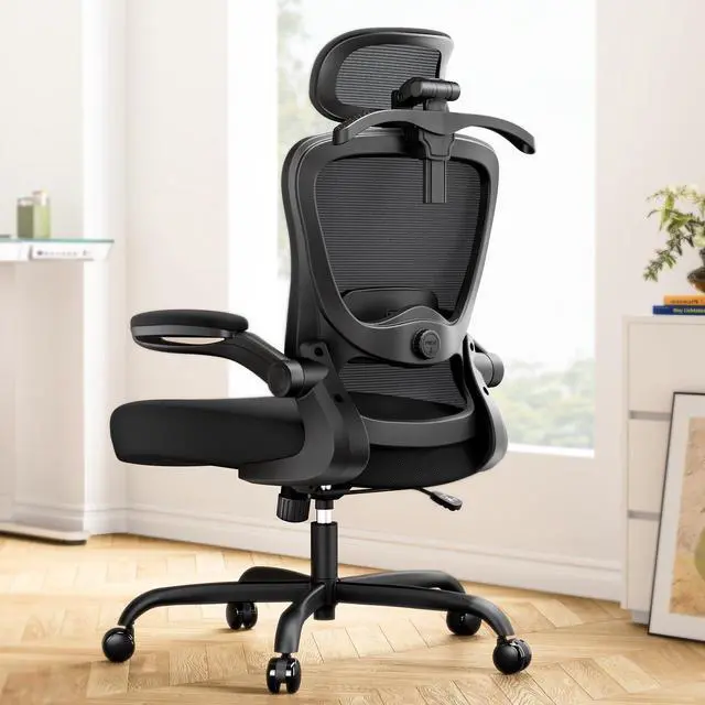 Main image of CHITOOMA Ergonomic Office Chair: Ergonomic Gaming Chair with 3D Headrest, 3D Lumbar Support, Flip-up Armrests, High Back Adjustable Desk Chair with 90-120° Tilt Lock, Thick Cushion (Black)