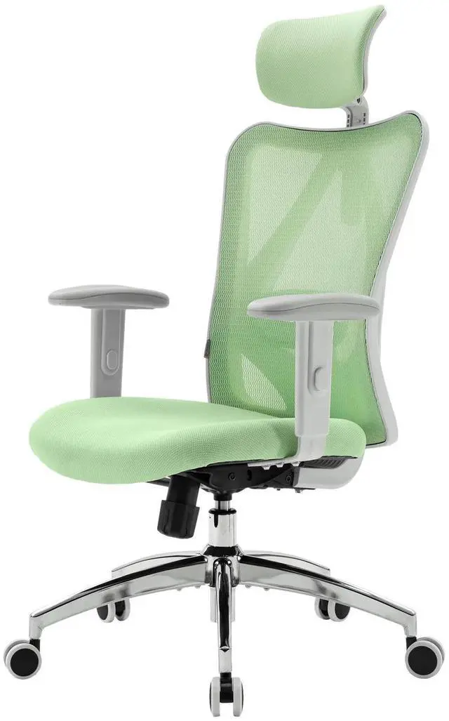 Main image of SIHOO Ergonomic Office Chair, Mesh Computer Desk Chair with Adjustable Lumbar Support, High Back chair for Big and Tall, White and Green
