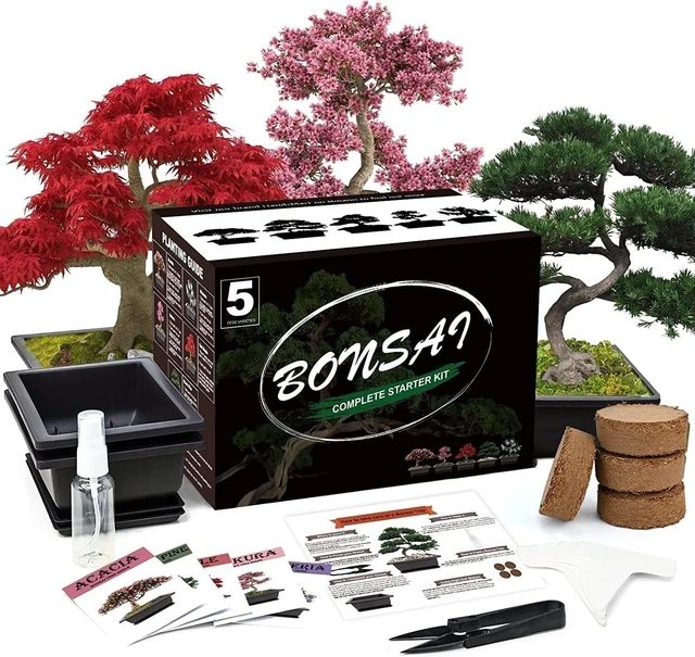Main image of Idealforce Complete Bonsai Tree Starter Kit, Includes 5 Varieties of Tree Seeds and Plant Growing Tools, Indoor DIY Potted Gardening Set, Perfect Planting Gift for Beginners and Home Garden Lovers