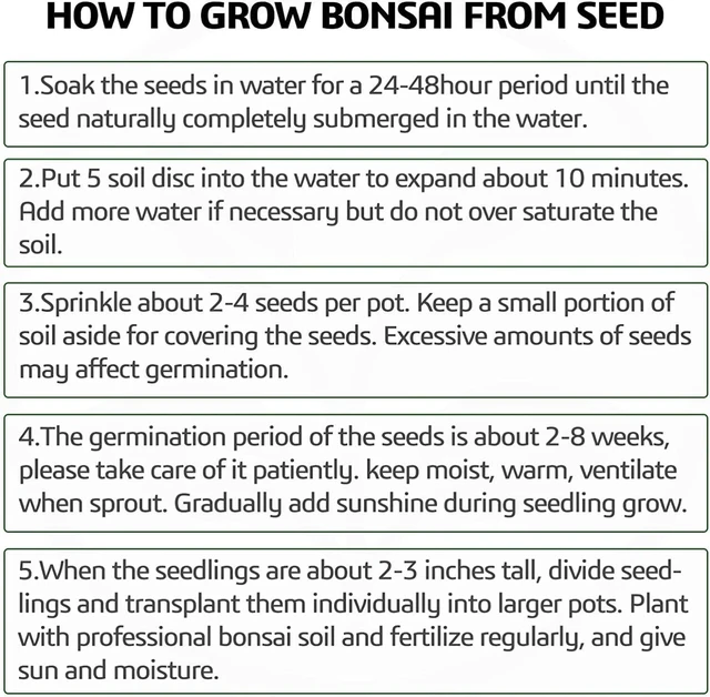 Alt view image 3 of 7 - Idealforce Complete Bonsai Tree Starter Kit, Includes 5 Varieties of Tree Seeds and Plant Growing Tools, Indoor DIY Potted Gardening Set, Perfect Planting Gift for Beginners and Home Garden Lovers
